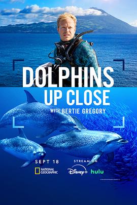 摄影师贝尔蒂与海豚零距离(全集)