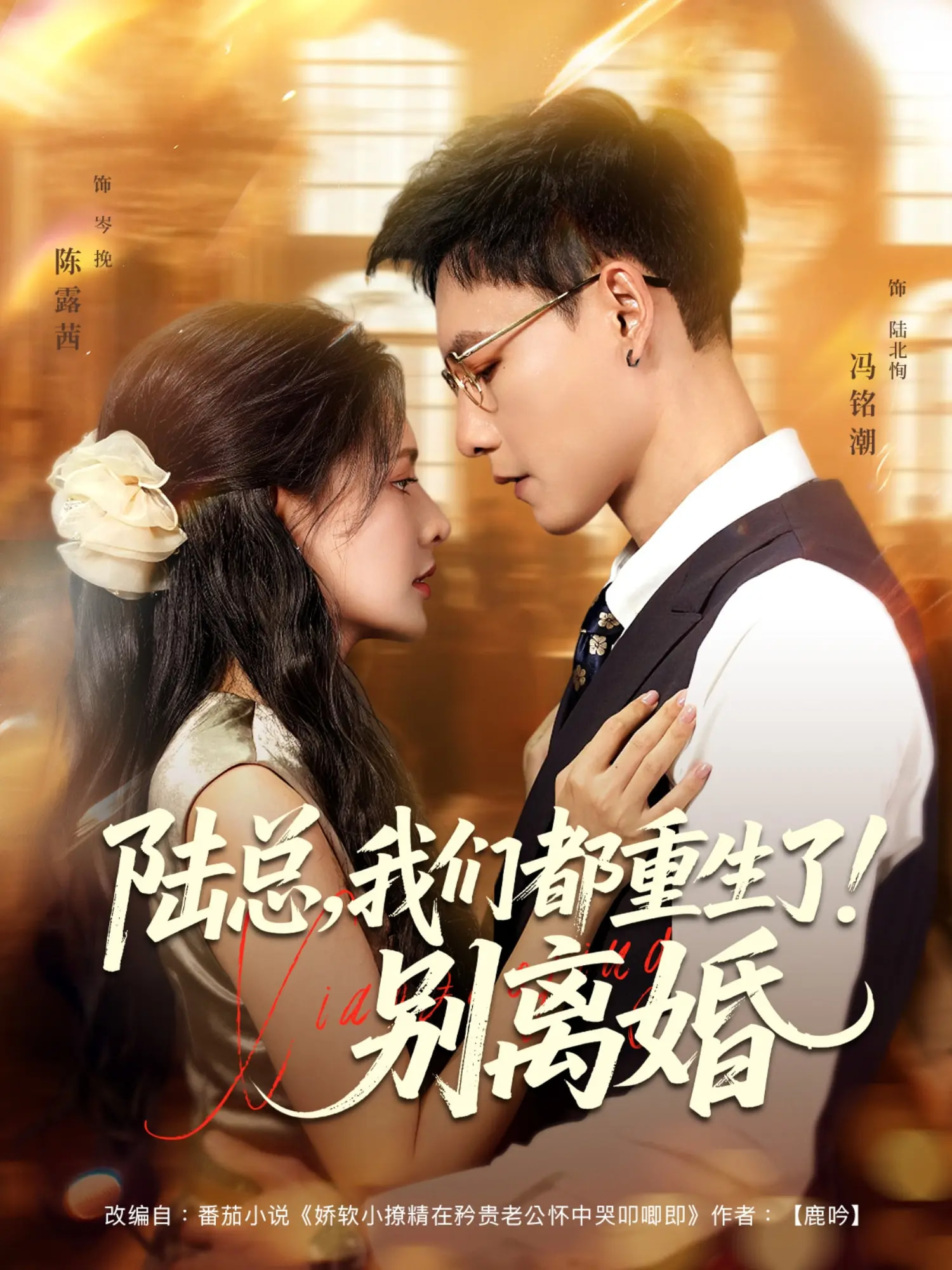 陆总，我们都重生了！别离婚(全集)