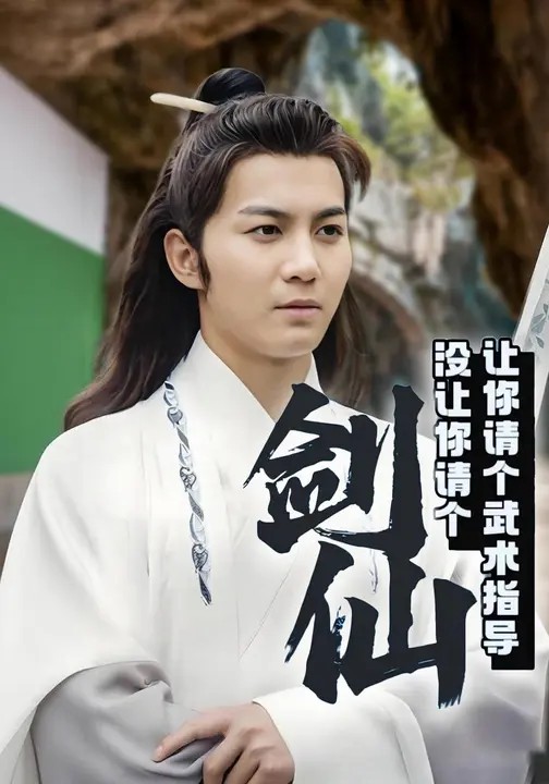 让你请个武术指导没让你请个剑仙