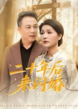 二十年后来闪婚(全集)